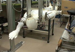 日本打造人形水上机器人 或将用于近岸救援
